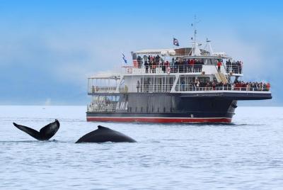 Crucero de avistamiento de ballenas y fiordos desde Tadoussac o Charlevoix Crucero de avistamiento de ballenas y fiordos desde Tadoussac o Charlevoix