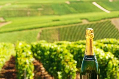 Viaje en champán desde París con degustación en la famosa bodega Nicolas Feuillatte Viaje en champán desde París con degustación en la famosa bodega Nicolas Feuillatte