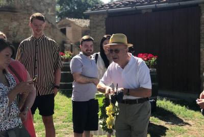 Recorrido vinícola por Montalcino, Pienza y Montepulciano Recorrido vinícola por Montalcino, Pienza y Montepulciano