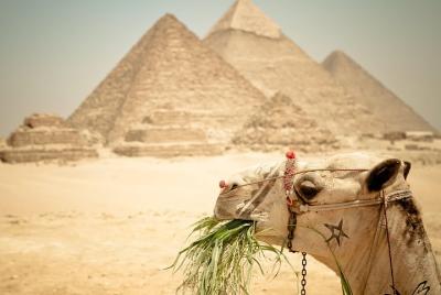 Excursión privada de un día en El Cairo a las pirámides de Guiza 
