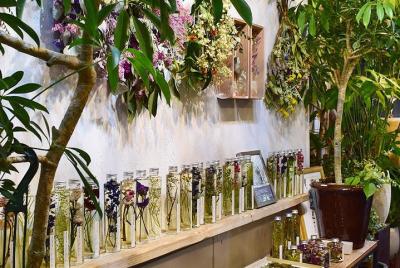 Tour privado - Un día en el centro del arte contemporáneo, Kiyosu