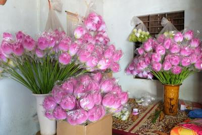Auténtico recorrido en bicicleta por el campo y la cultura de Hue