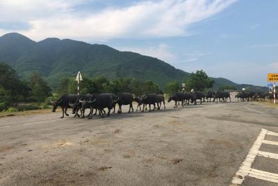 Hue a la playa de Thuan An en coche privado.