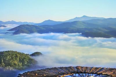 Da Lat's Glow of Dawn - Tour de un día de fotografía
