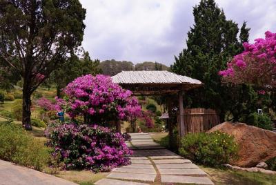 COMBO: Excursión de un día a Da Lat Hot Attractions Discovering - LUMIERE Light Garden