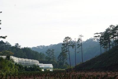 Da Lat Tour Especial