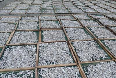 2 días a Nha Trang por el mejor camino de la costa desde Dalat