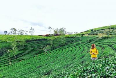Privado 3 días 2 noches Da lat paradies de flores de Saigón
