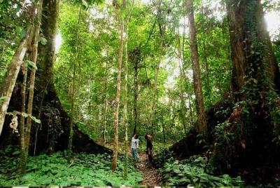 Dalat - Bienvenido a la jungla