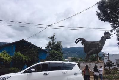 Recogida privada de Dalat desde el aeropuerto de Lien Khuong 7 asientos Recogida privada de Dalat desde el aeropuerto de Lien Khuong 7 asientos