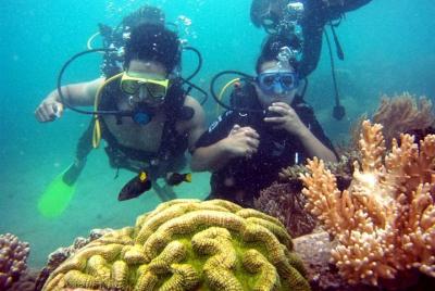 Nha Trang Half-Day Diving y Photo Underwater