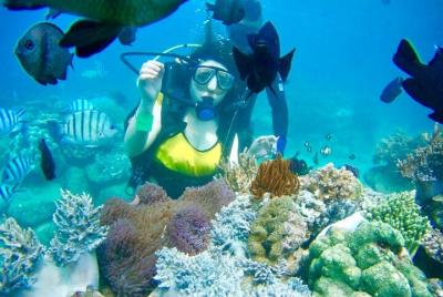 Island Hopping Plus Diving