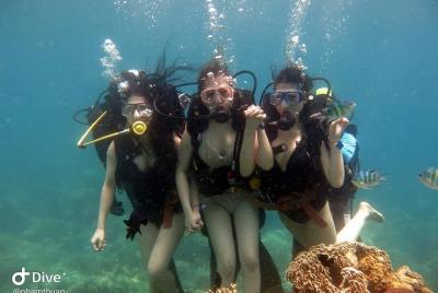 Excursión de un día a 3 islas en Nha Trang