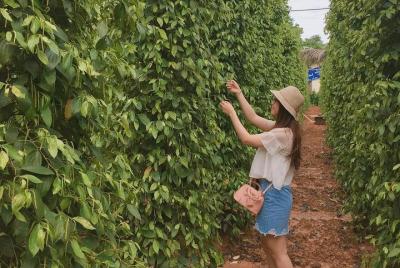 Phu Quoc Picnic tour en Da Ban Stream día completo