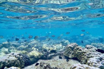 Phu Quoc Snorkeling y pesca al norte tour de día completo