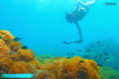 OnBird - [CHARTER PRIVADO] SNORKELING Para explorar el ARRECIFE DE MEDIA LUNA Y LA MONTAÑA DE CORAL