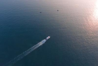 Crucero romántico al atardecer en catamarán
