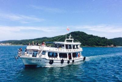 Viaje 2: Descubre 2 islas en la isla Sur