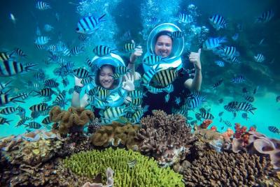 Sea Walker - ARRECIFES DE CORAL DE BUCEO, SNORKEL Y VER