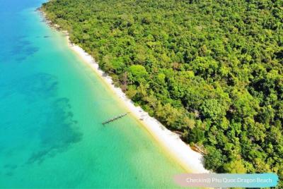 OnBird: viaje privado en lancha rápida a la playa intacta de Dragon, bosque, comida al atardecer