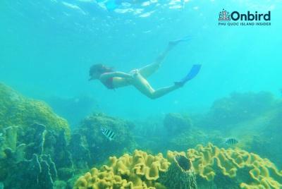 OnBird: el exclusivo viaje de buceo libre en el sur de Phu Quoc