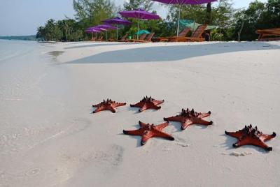 Conductor local de la isla de Phu Quoc