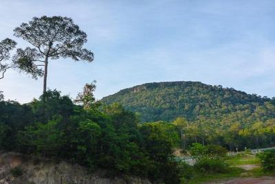 Caminatas guiadas de jamón ninh de día completo
