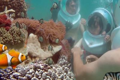 Phu Quoc Isla del Sur y Sea Trek Dive