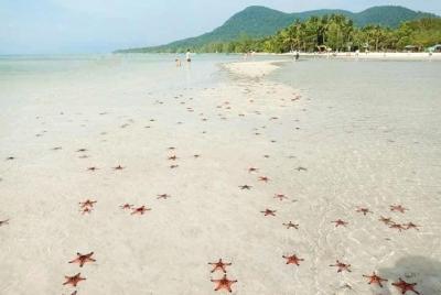 Verdaderamente Vietnam: un gran día para la playa Starfish y el parque nacional Phu Quoc