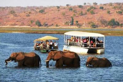  Chobe Full Day Trip