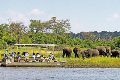 Escapada de un día al Parque Nacional de Chobe desde las Cataratas Victoria