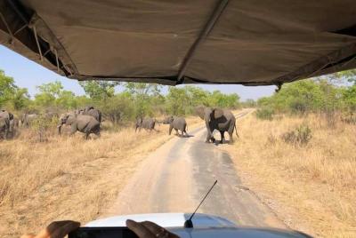 Excursión de un día a Chobe desde las cataratas Victoria.