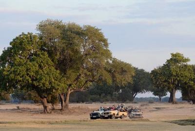 Safari Tour en Stanley y Livingstone Private Game Reserve