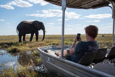 Desde Livingstone, Cataratas Victoria, Kasane: Safari de un día y durante la noche en Chobe