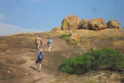 Delta de Okavango, Maun, Savuti, Chobe y alrededor de Zimbabwe Expedición de 15 días