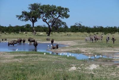 Tour de 3 días en el Parque Nacional Chobe