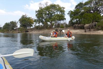 Piragüismo con avistamiento de vida silvestre