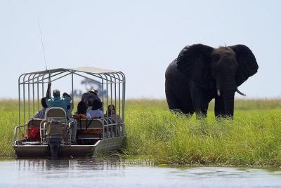 Excursión de un día completo al Safari del Parque Nacional de Chobe