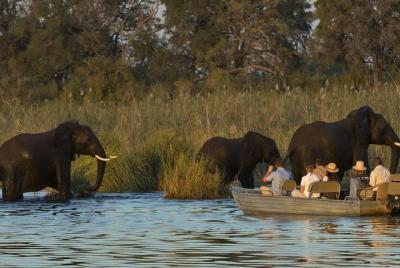 Experiencia de piragüismo en el río Zambezi de día completo con recogida