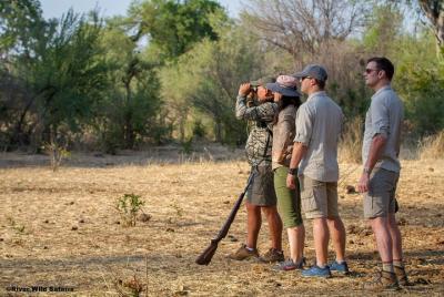 Combo de canoa, caminata y manejo - 3 días 2 noches - River Wild Safaris