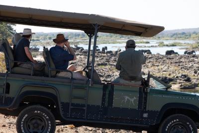 Morning Game Drive y Walking Safari