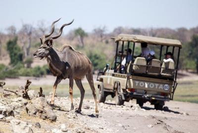 Combo de 6 días Hwange, Chobe y Cataratas Victoria