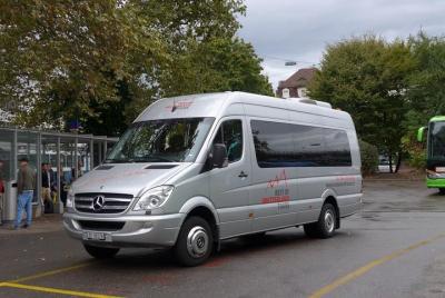 Traslado del aeropuerto de Victoria Falls a Victoria Falls Town u Hotel