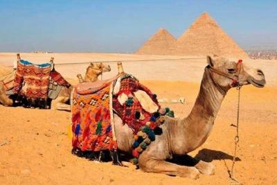 8 días, El Cairo, Alejandría, Asuán, Luxor, crucero, Abu Simbel,  8 días, El Cairo, Alejandría, Asuán, Luxor, crucero, Abu Simbel,