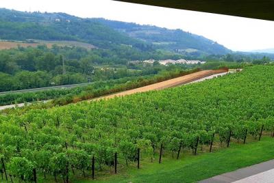 Tour privado de Pisa y Chianti Wine Tour con almuerzo en bodega (8 horas) Tour privado de Pisa y Chianti Wine Tour con almuerzo en bodega (8 horas)