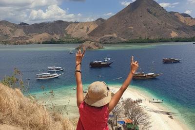 Tour de 3 días a la isla de Komodo y RincaTrails con o sin vuelo de ida y vuelta desde Bali Tour de 3 días a la isla de Komodo y RincaTrails con o sin vuelo de ida y vuelta desde Bali