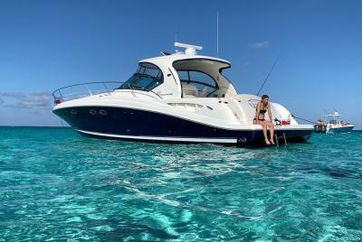 Excursión privada de lujo de medio día por la ciudad de Stingray, snorkeling y Starfish Beach