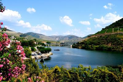 Excursión para grupos pequeños del Valle del Duero con una cata d Excursión para grupos pequeños del Valle del Duero con una cata d
