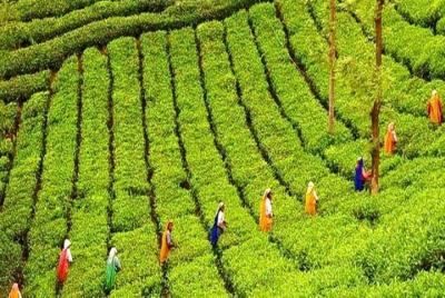 Paquete de bolsillo amigable