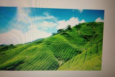 Paquete de luna de miel Kerala